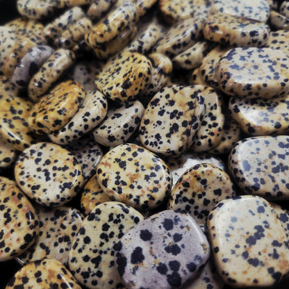 Dalmation Jasper