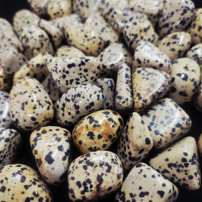 Dalmation Jasper
