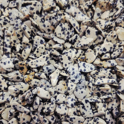 Dalmation Jasper