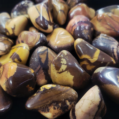 Nguni Jasper