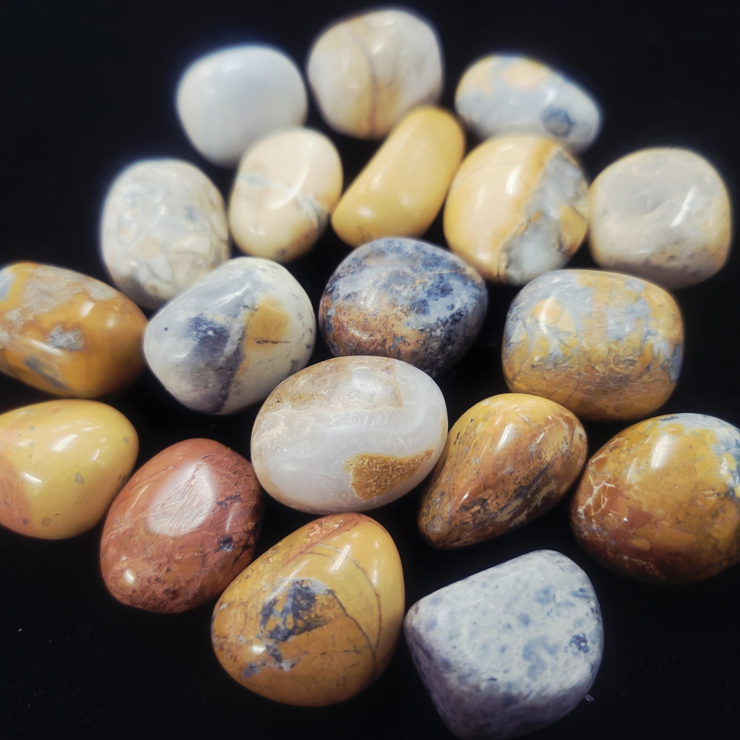 Maligano Jasper