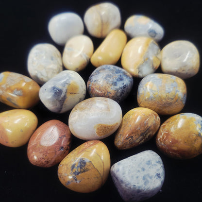 Maligano Jasper