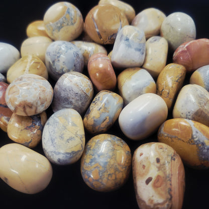 Maligano Jasper