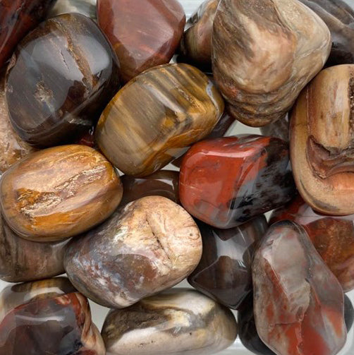 Petrified Wood, Medium