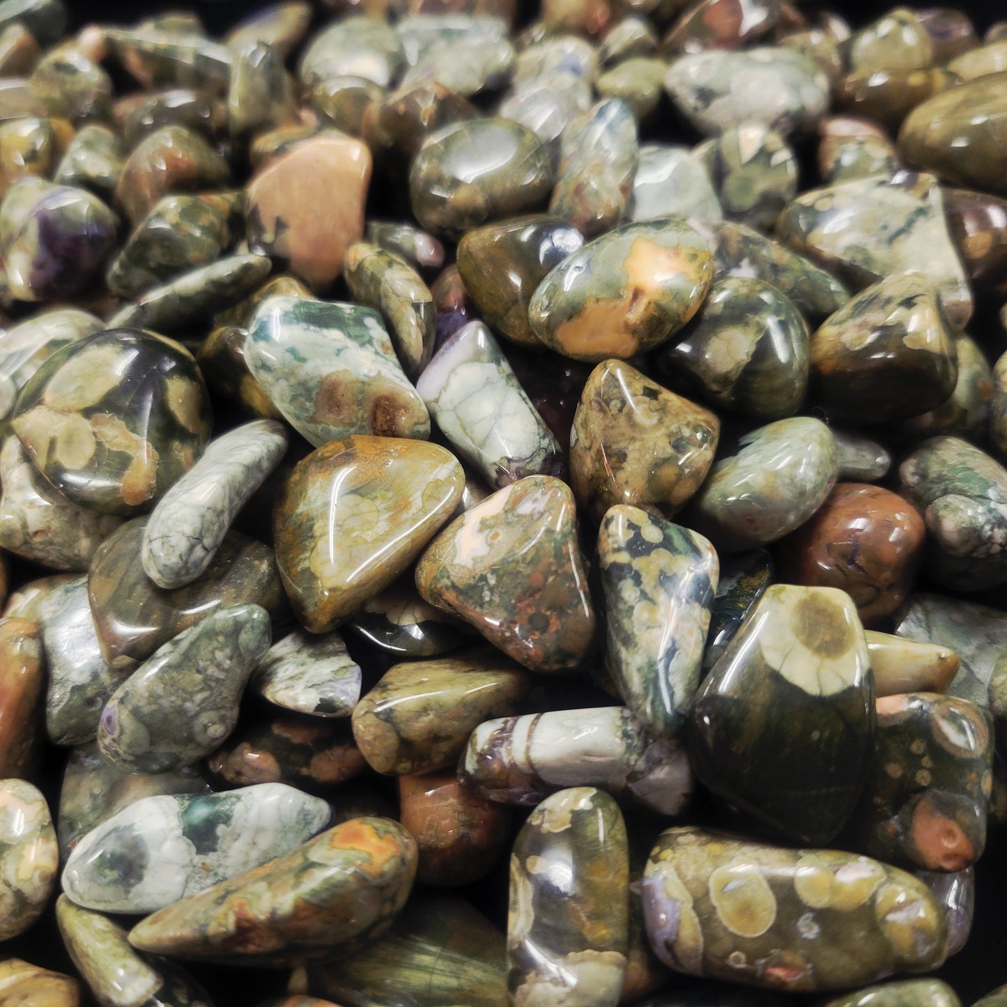 Rainforest Rhyolite