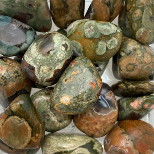 Rainforest Rhyolite, Medium