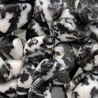 Zebra Jasper