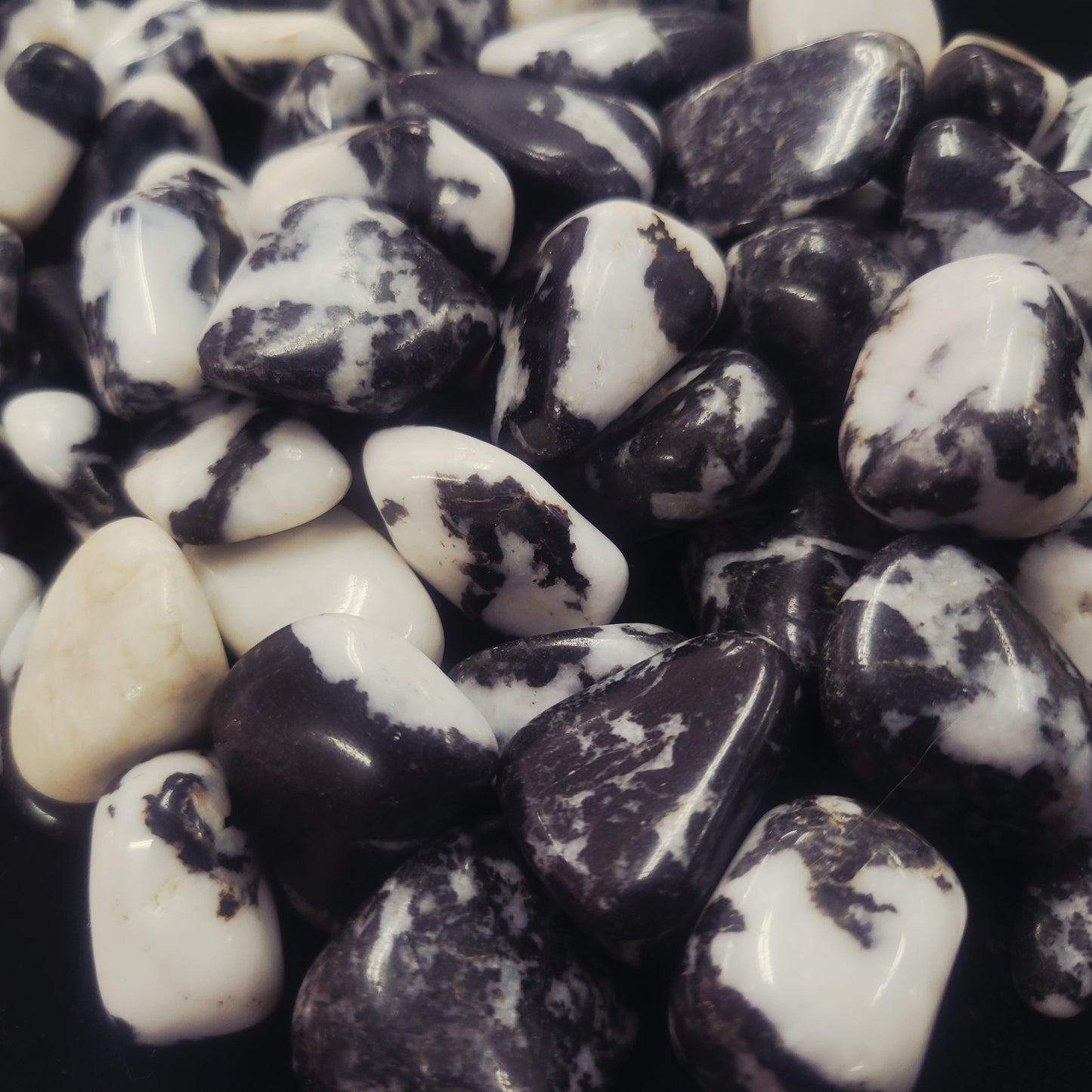Zebra Jasper