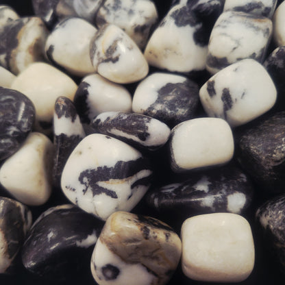 Zebra Jasper