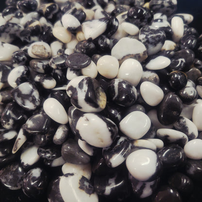 Zebra Jasper