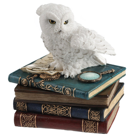 TRINKET BOX - SNOW OWL FLP WINGS ON BOOKS