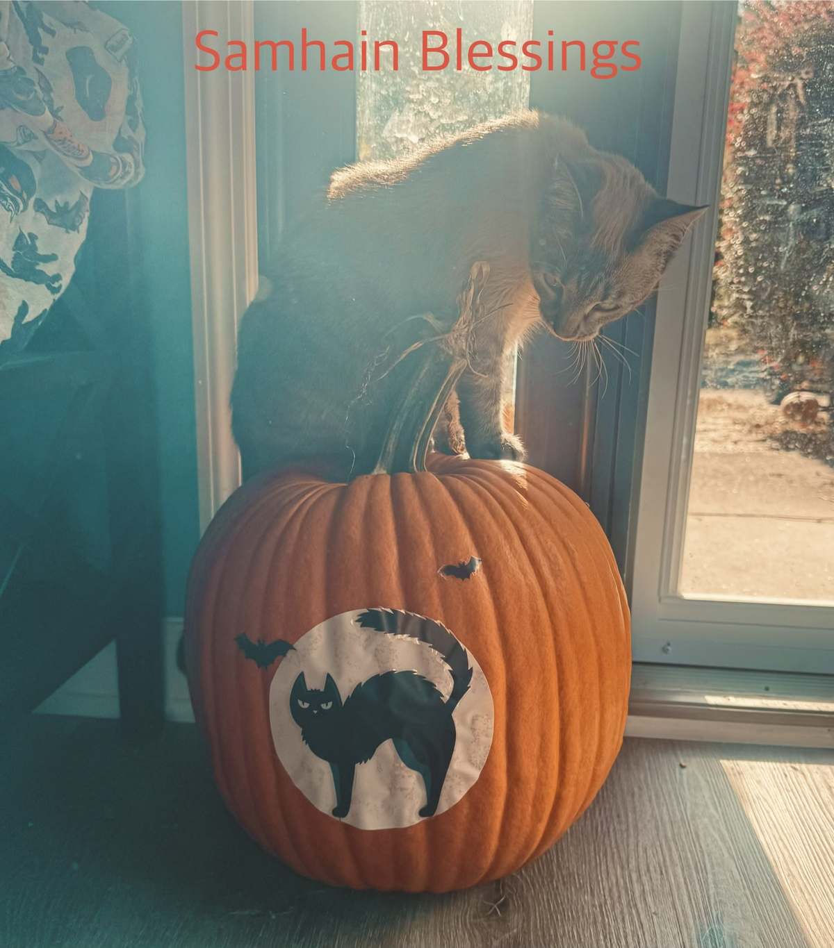 The Turning Wheel: Crafting Your Samhain Sabbat w/Earth Momma Jackie